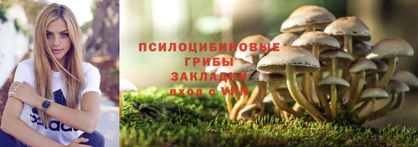герыч Вяземский