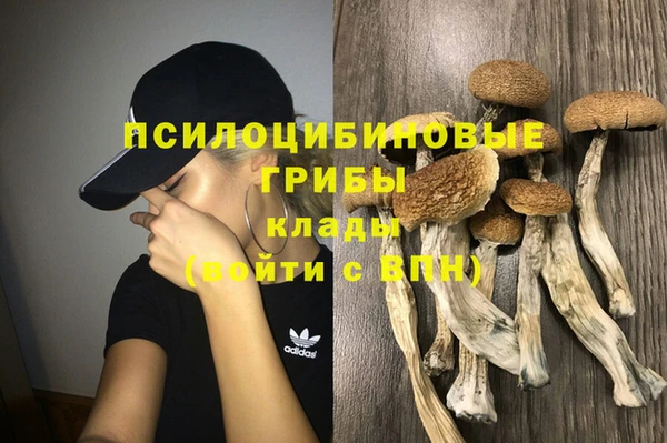 таблы Горнозаводск