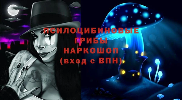 МДПВ Горно-Алтайск