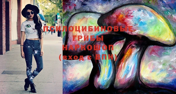 МДПВ Горно-Алтайск