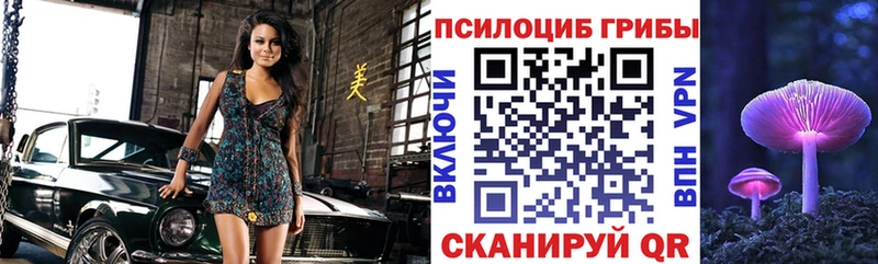Купить где  Черепаново  Галлюциногенные грибы Psilocybine cubensis 